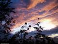 ciel 10